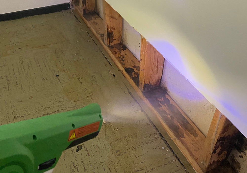 Wiz Team, Inc. technicians restoring fire damage in Lake Forest with effective remediation techniques.