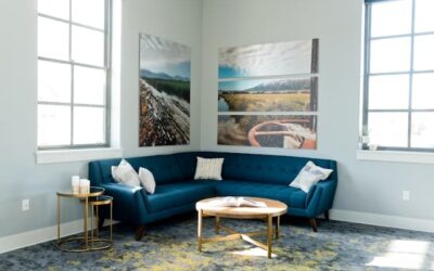 Carpet Cleaning: Making Better Decisions