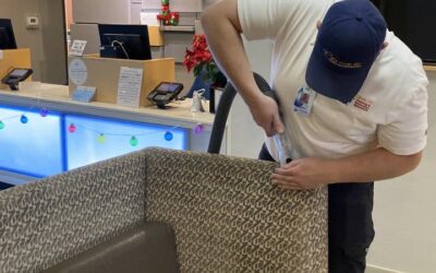 What Efficient Upholstery Cleaning Methods Does Wiz Team Provide for Busy Households?