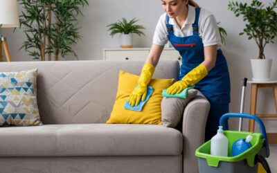 Professional, Eco-Friendly Upholstery and Furniture Care