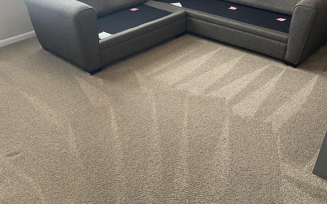 Carpet Cleaning in Mundelein, Illinois That Revived Janice’s Home