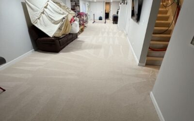 Ann’s Carpet Transformation: Premium Residential Carpet Restoration in Long Grove, Illinois