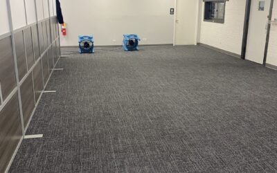 Commercial Carpet Restoration in Lake Zurich, Illinois — A Remarkable Office Transformation